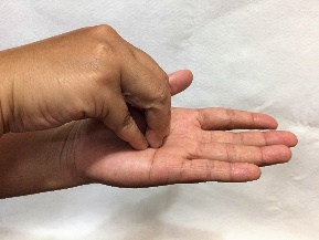 fingertips s