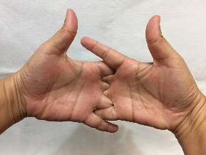fold s