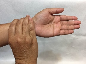 wrist s